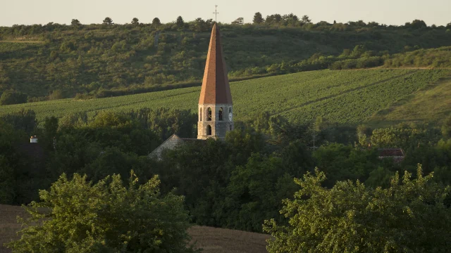 Escolives Sainte Camille