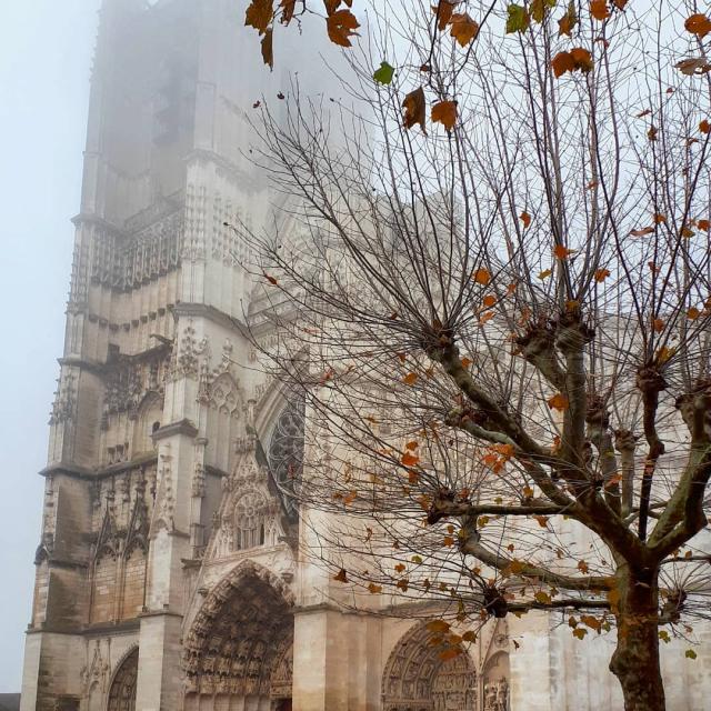 Instagram #auxerroistourisme