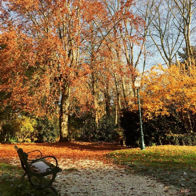 Instagram #auxerroistourisme