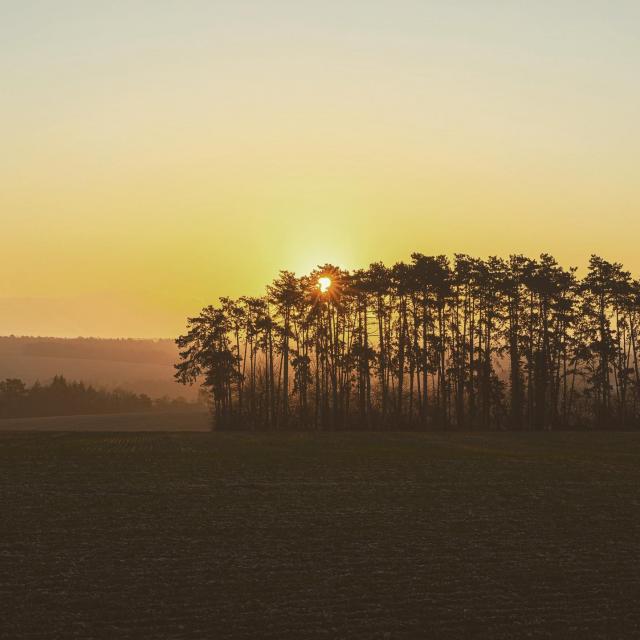 Instagram #auxerroistourisme
