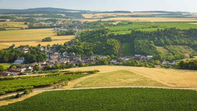 Quenne Bivb Aurelien Ibanez Copie 1